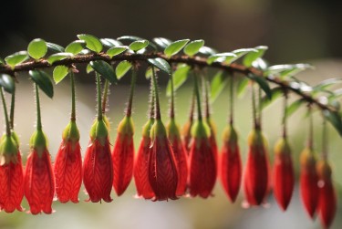 中山南朗私人快速借钱网，轻松解决资金难题
