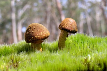 中山南朗私人老板放款：轻松融资的秘密通道